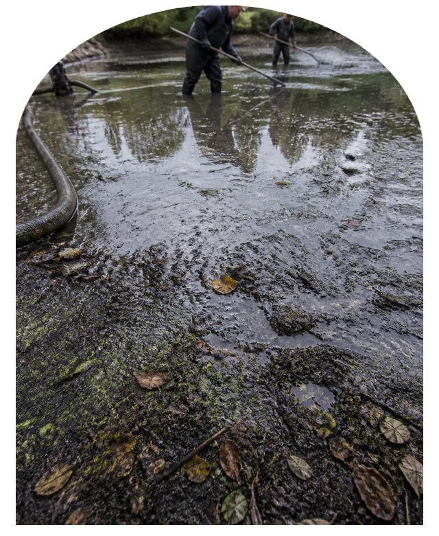 Очистка пруда в Ногинске от ила мусора и водорослей с вывозом